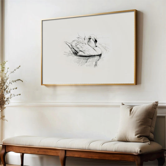 "Swan Sketch" Vintage Print