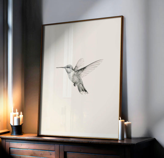 "Hummingbird" Vintage Sketch Art