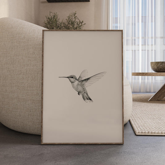 Hummingbird Vintage Sketch Art