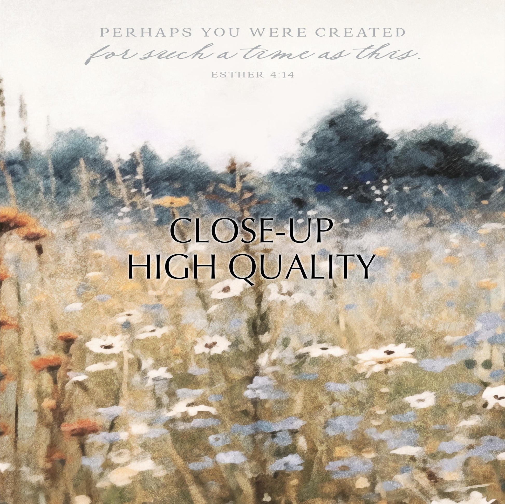 The image is a close-up of a field of flowers, with a text overlay that reads "PERHAPS YOU WERE CREATED for such a time as this. ESTHER 4:14".
