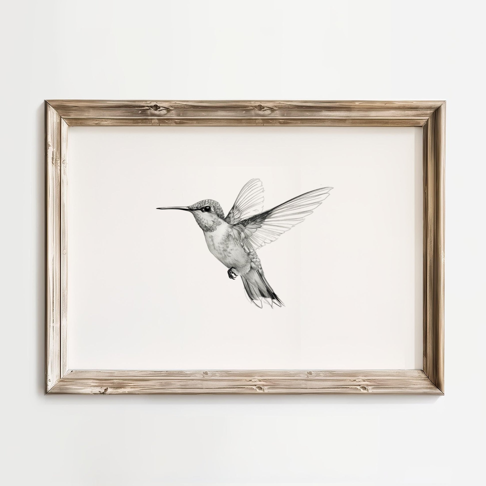 A framed black and white illustration of a hummingbird in flight.