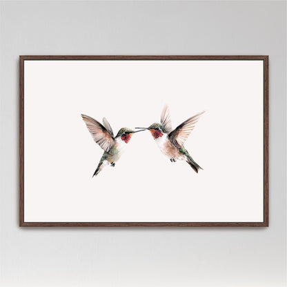 two hummingbirds in flight, with their wings spread wide and their beaks touching.
