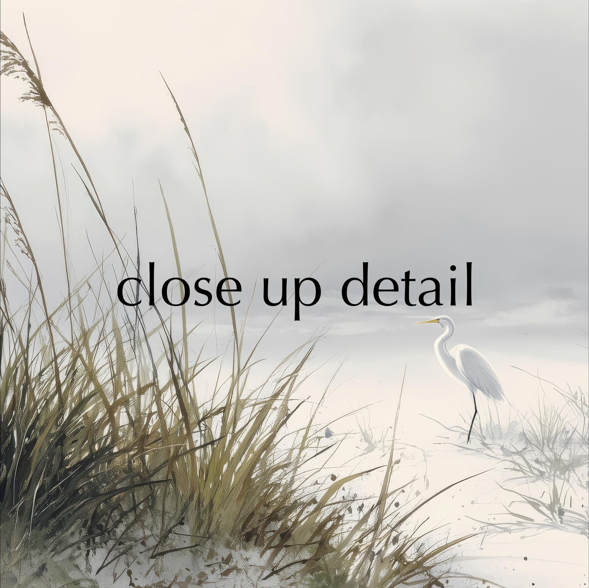 A close-up of a white bird standing on a snowy beach, with tall grasses in the foreground.