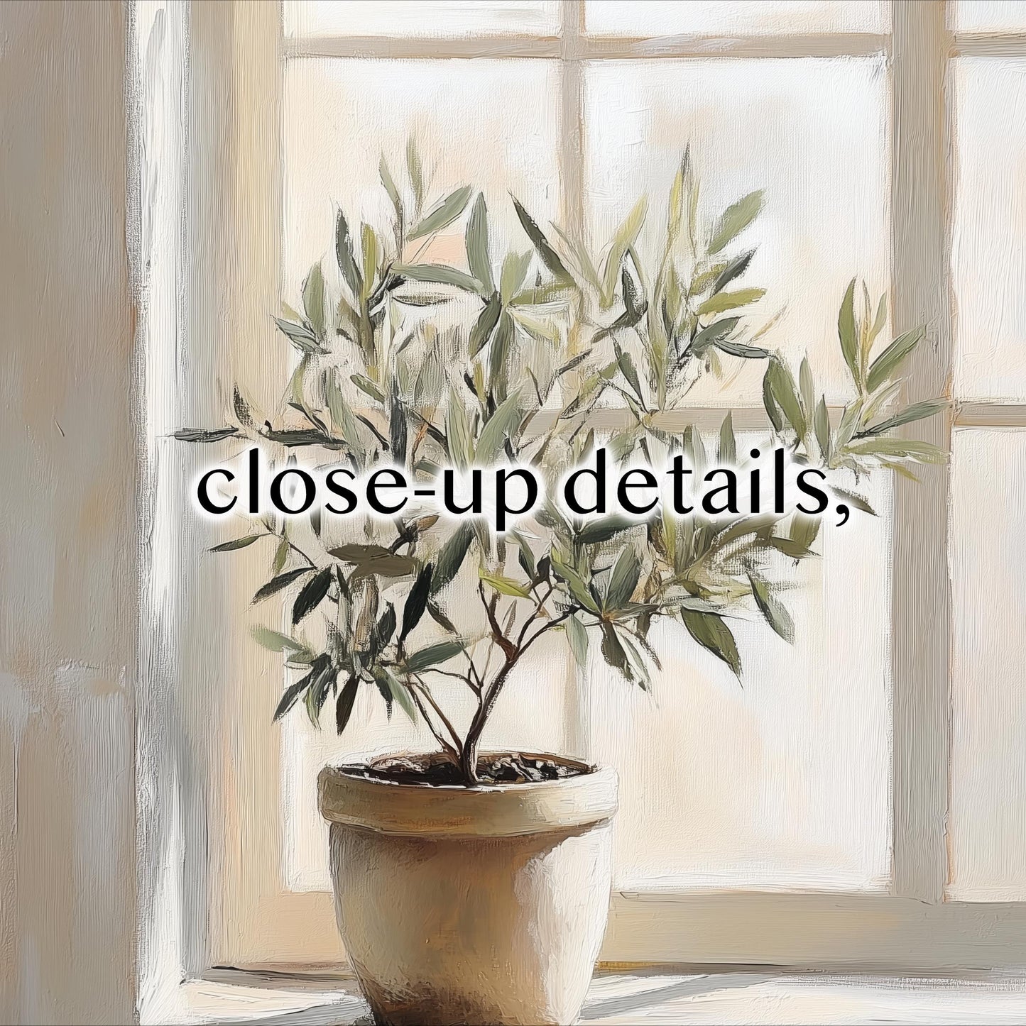 A potted olive tree with green leaves sits in front of a window, with the text "close-up details" overlaid on the image.