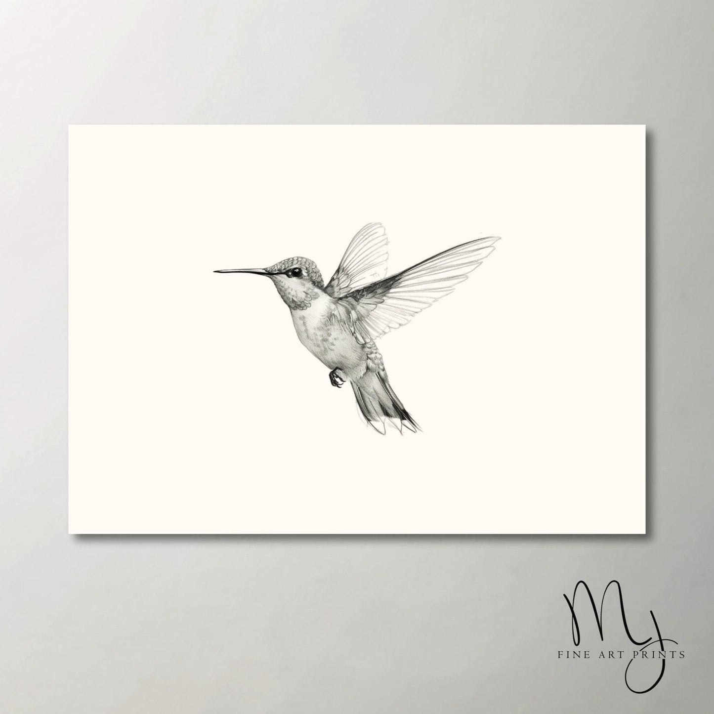 Hummingbird in Flight Sketch Art