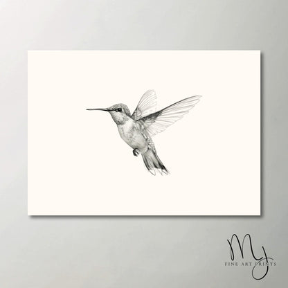Hummingbird in Flight Sketch Art