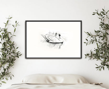 "Swan Sketch" Vintage Print