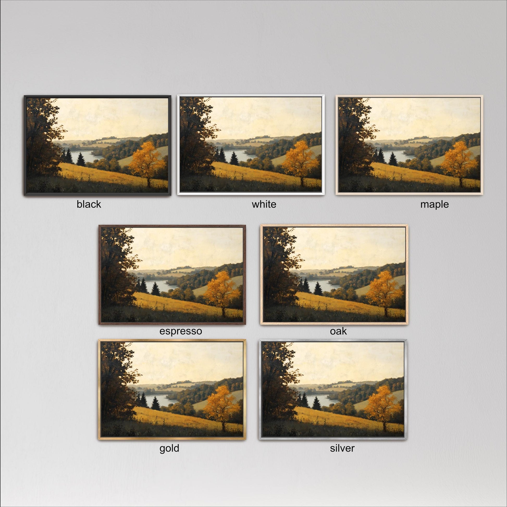 six different framed landscape paintings, each with a distinct color and frame style. The paintings depict various scenes of nature, including trees, fields, and bodies of water. The color palette of the paintings varies, with some featuring black, white, and gold frames, while others have a more rustic, earthy look. The frames themselves come in different styles, adding to the diversity of the artwork displayed.