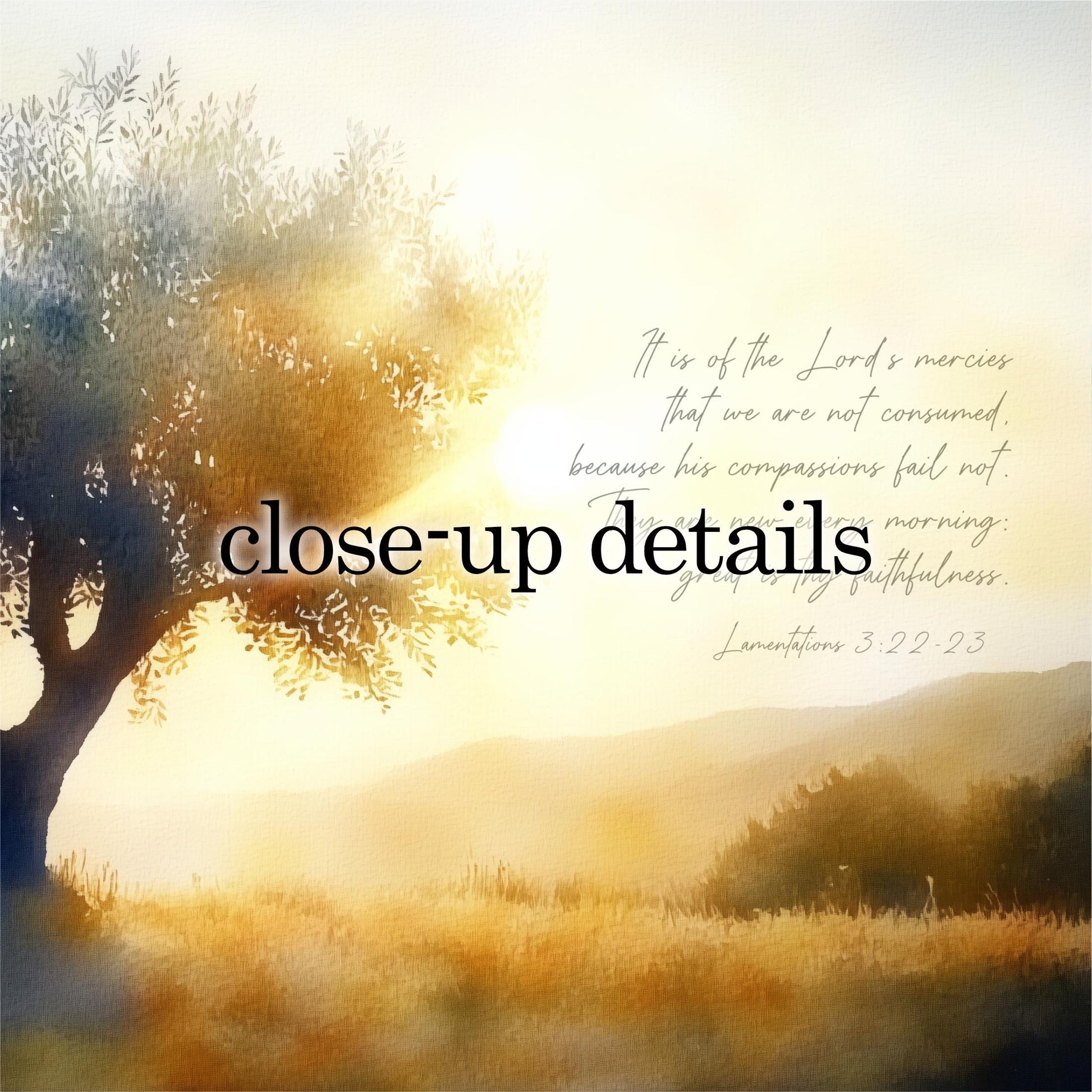 The image is a serene landscape featuring a tree silhouetted against a hazy, golden sky. The text overlay provides a biblical quote from the book of Matthew, discussing the Lord's mercies and the importance of compassion.