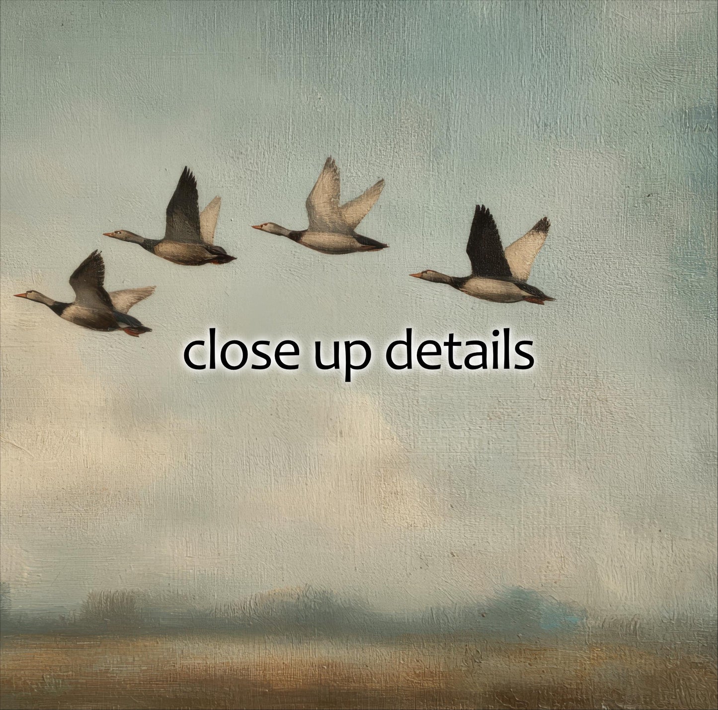 four ducks flying in a line across a cloudy sky.