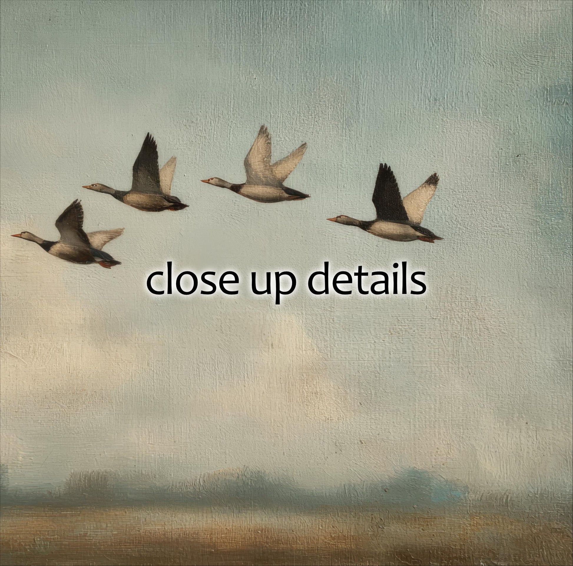 four ducks flying in a line across a cloudy sky.