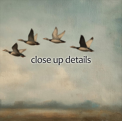 four ducks flying in a line across a cloudy sky.