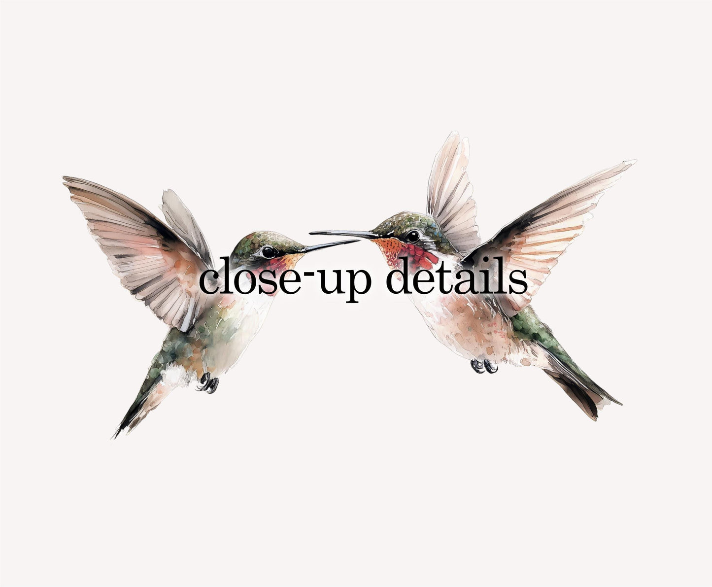 two hummingbirds in flight, with their wings spread wide.