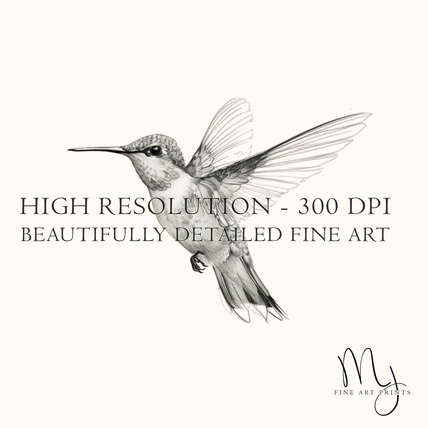 Hummingbird in Flight Sketch Art