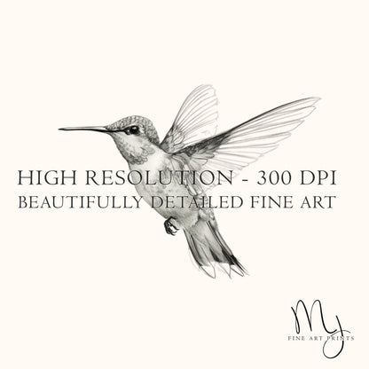 Hummingbird in Flight Sketch Art