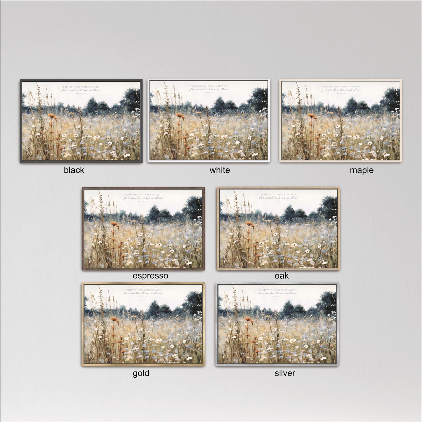 six framed pictures of a field with tall grass and trees, each with a different color frame. The frames are labeled with the color of the frame, such as black, white, maple, espresso, oak, gold, and silver.