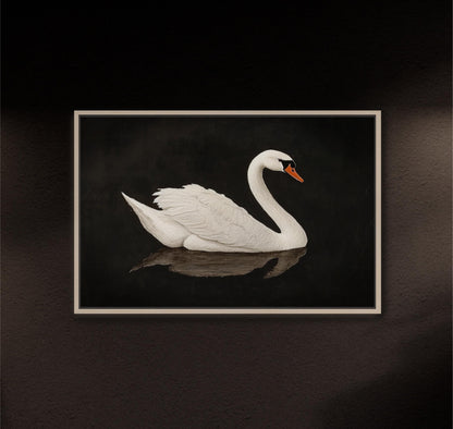 "Swan Lake"  Vintage Black and White Art