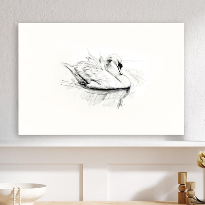 swan sketch drawing