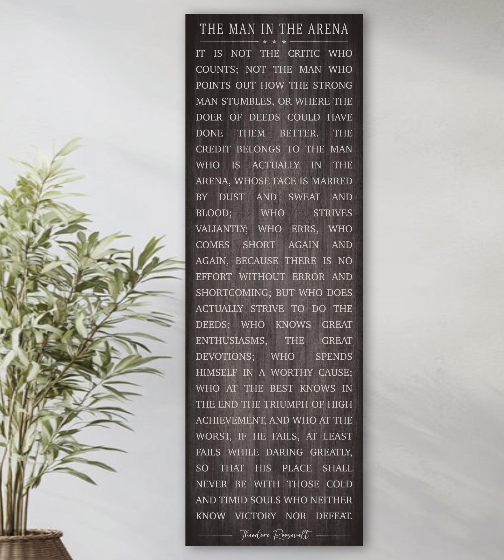 Theodore Roosevelt Quote Art: Man In The Arena Motivational Canvas