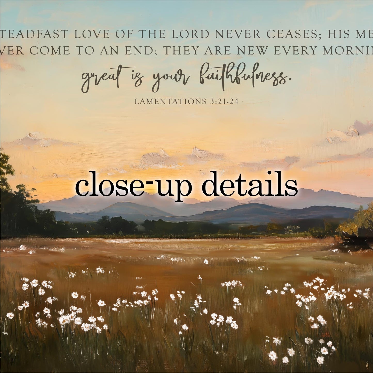 The image is a close-up of a pastoral landscape with a field of white flowers, mountains in the background, and a text overlay that reads "Close-up details" and "LAMENTATIONS 3:21-24".