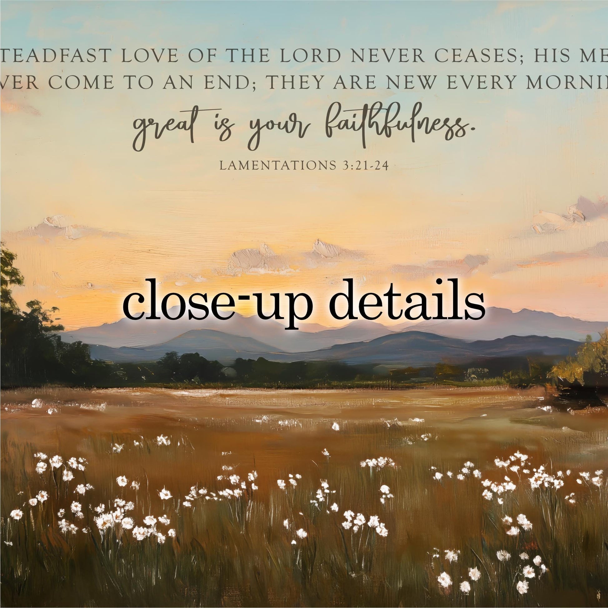 The image is a close-up of a pastoral landscape with a field of white flowers, mountains in the background, and a text overlay that reads "Close-up details" and "LAMENTATIONS 3:21-24".