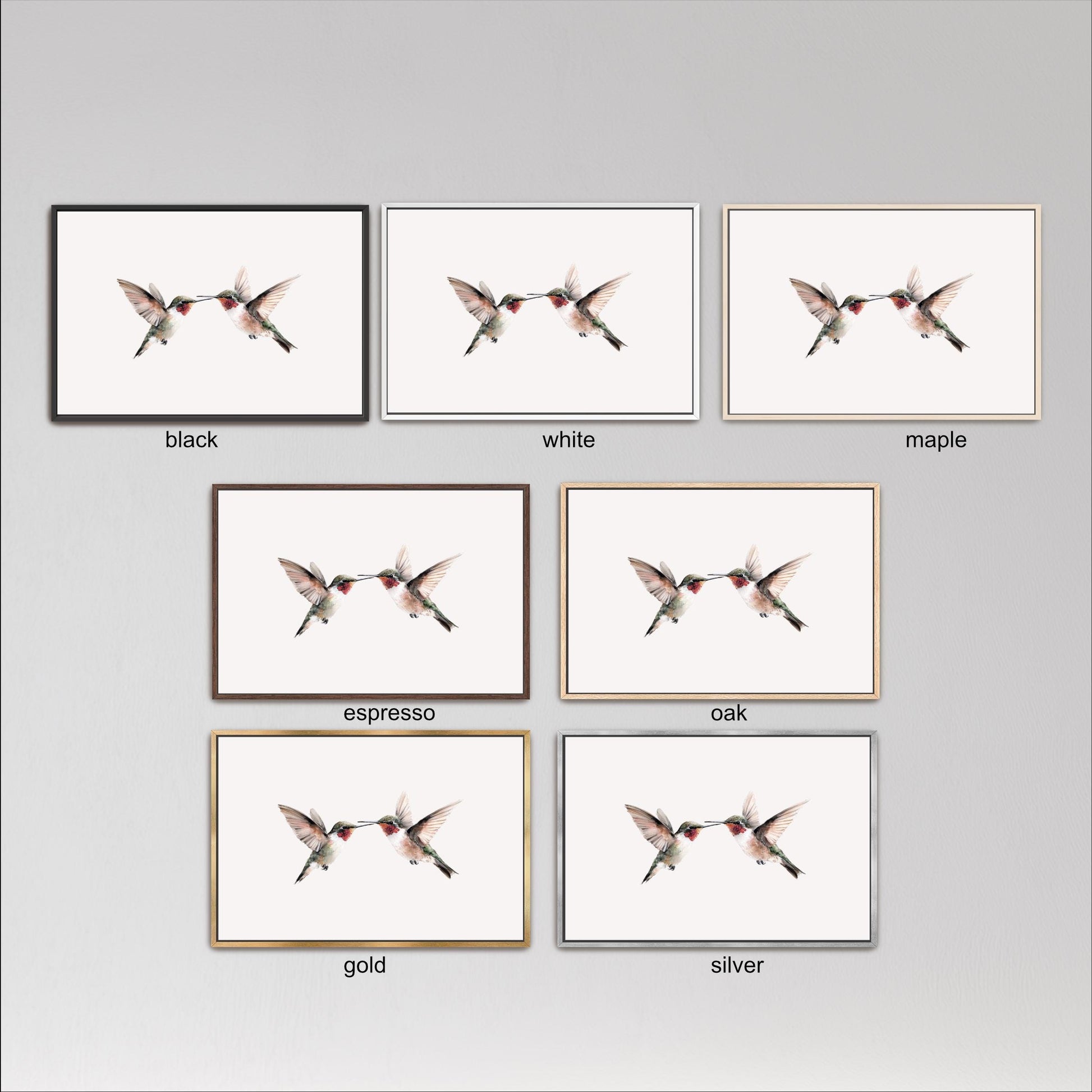 six framed pictures of hummingbirds, each with a different color frame, arranged in a grid against a gray background.