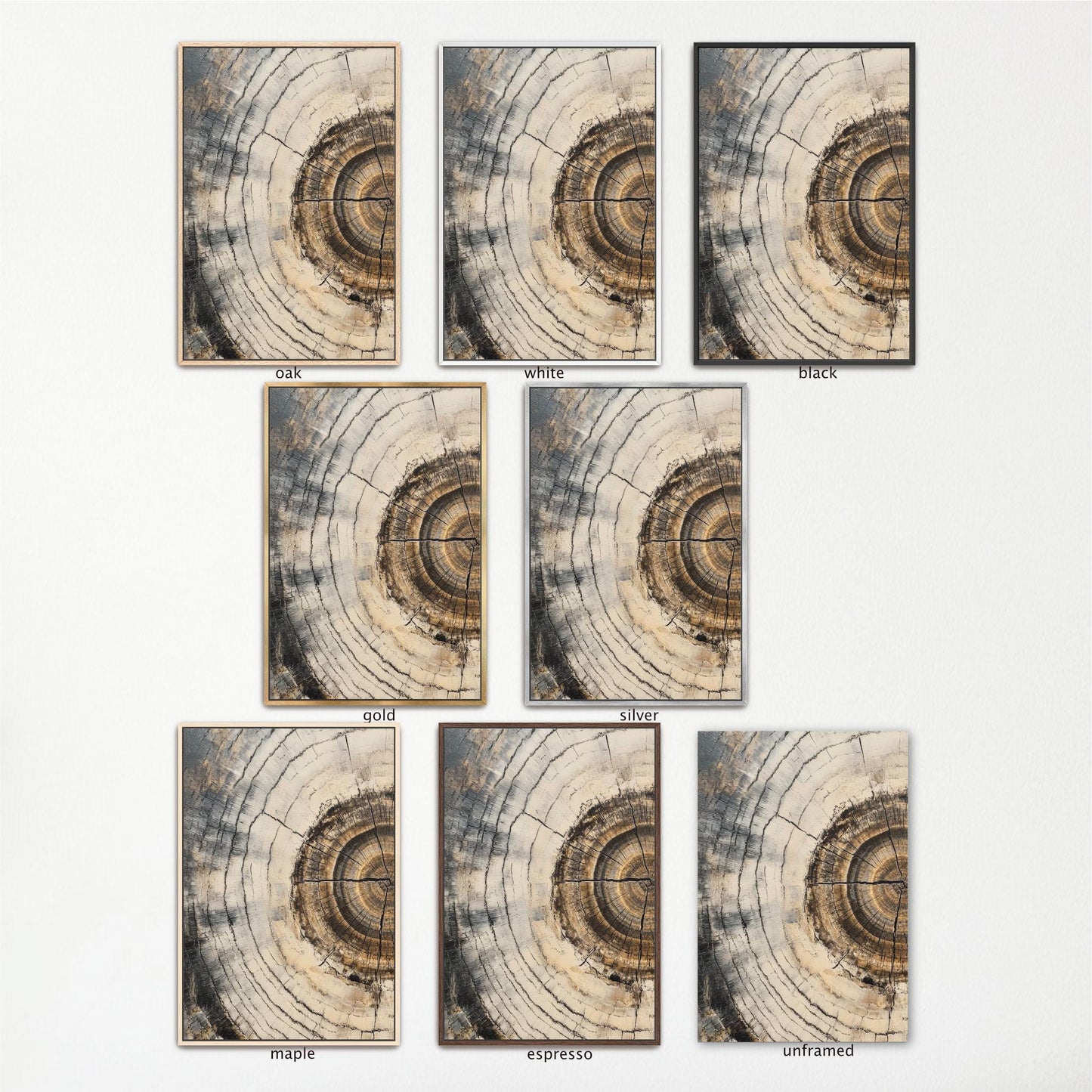 a set of six photographs of a spiral