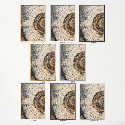 a set of six photographs of a spiral