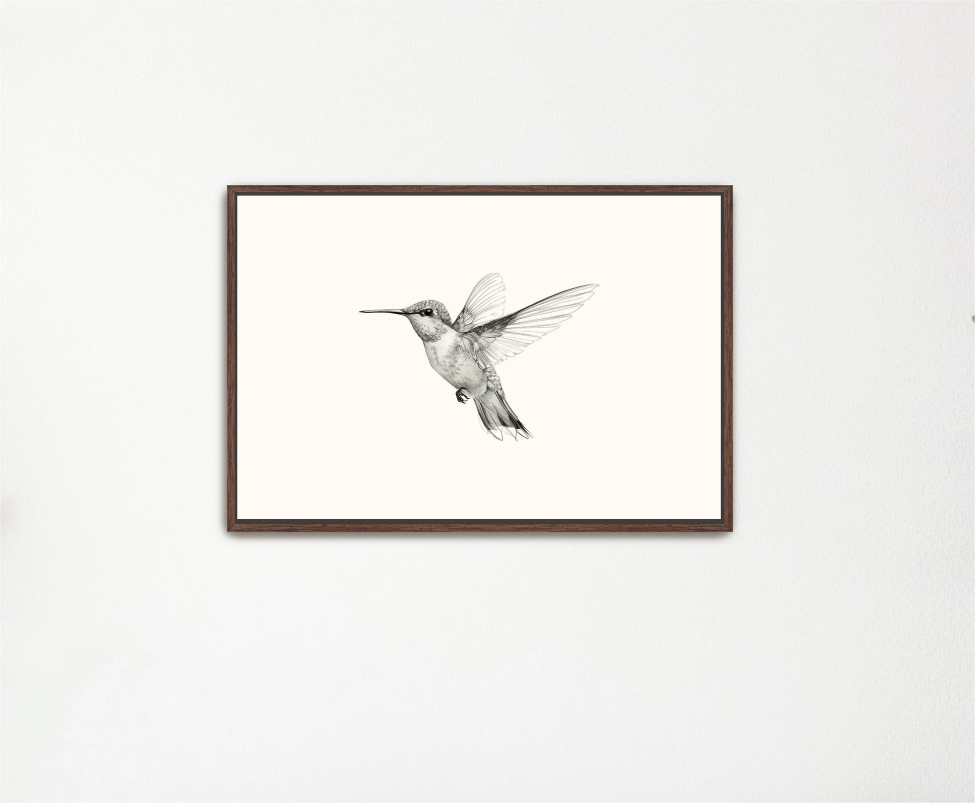 a black and white photo of a hummingbird in flight