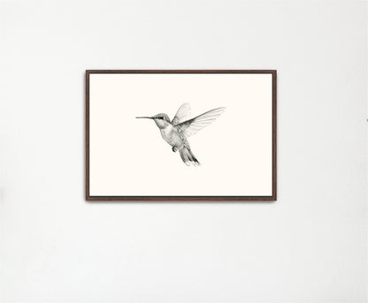 a black and white photo of a hummingbird in flight