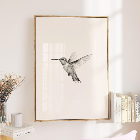 hummingbird sketch drawing framed art