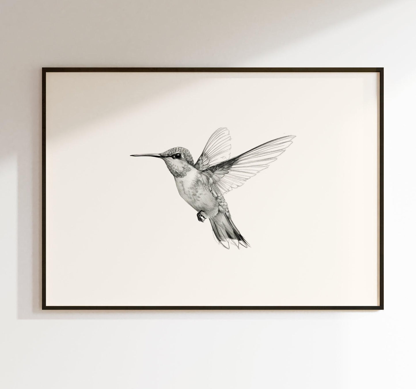 Hummingbird in Flight Sketch Art