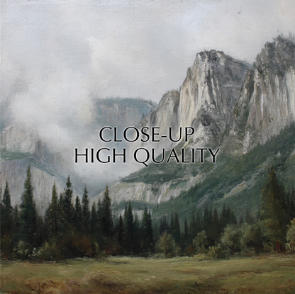 a serene landscape with a forested area and a majestic mountain range in the background.