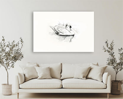 "Swan Sketch" Vintage Print