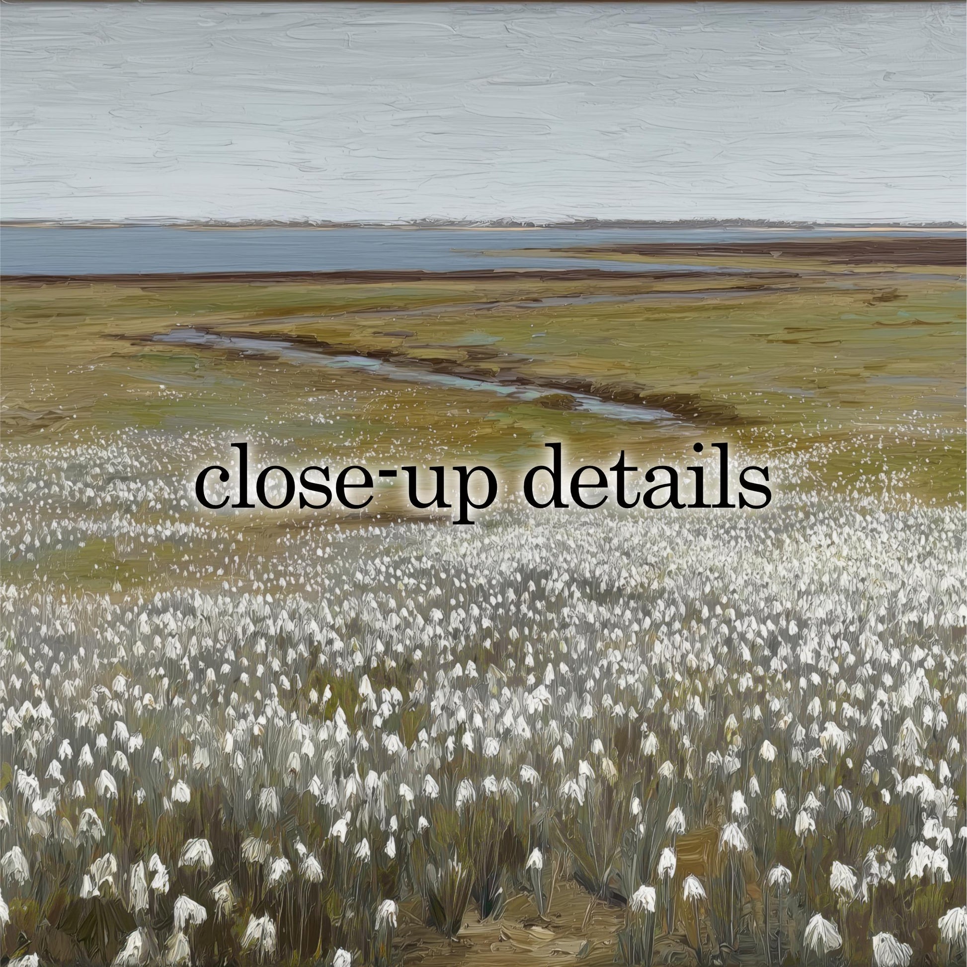a vast field of white flowers, with a body of water visible in the distance.