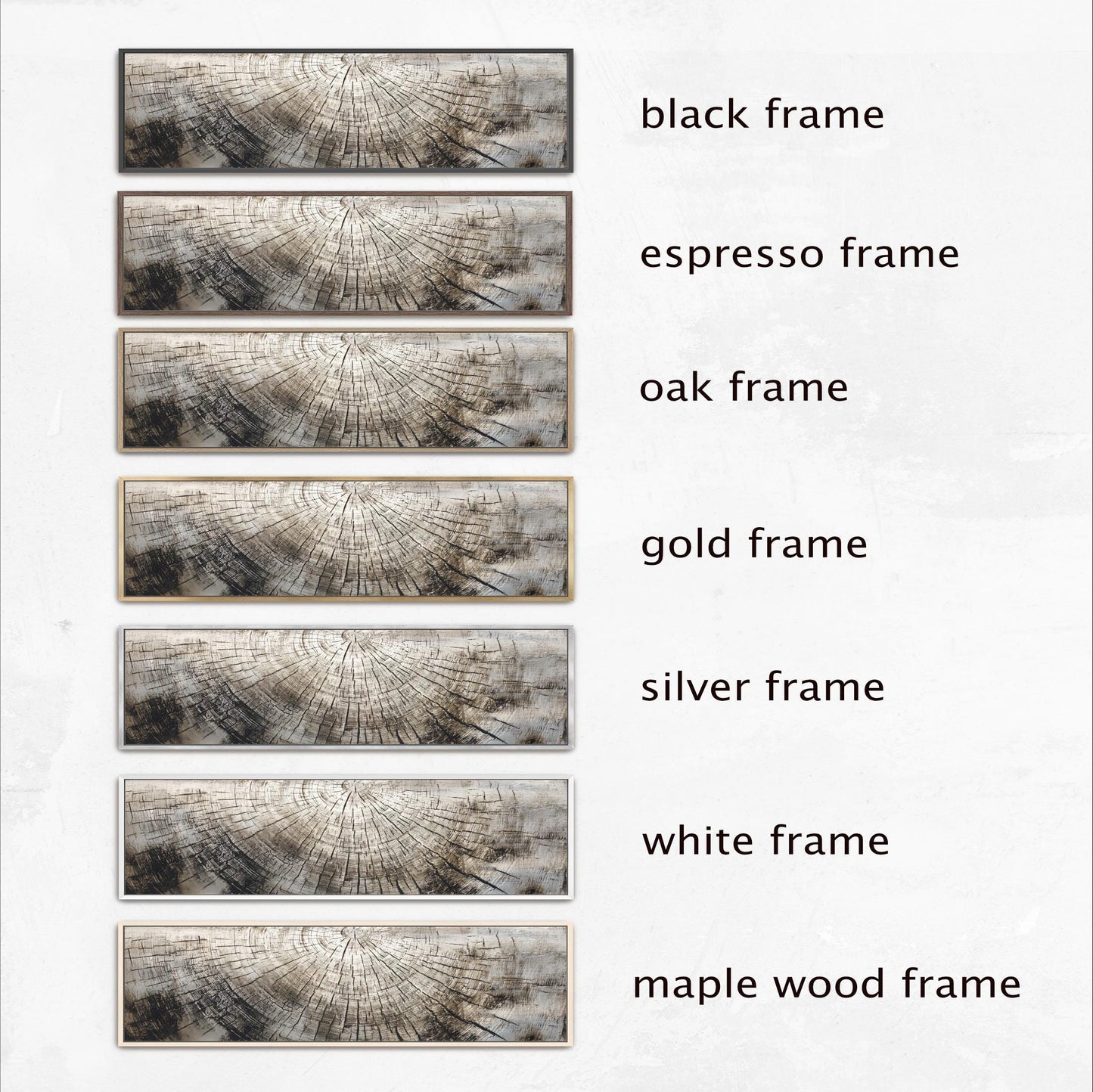 a series of six different frames, each with a unique frame color and style, arranged in a row.